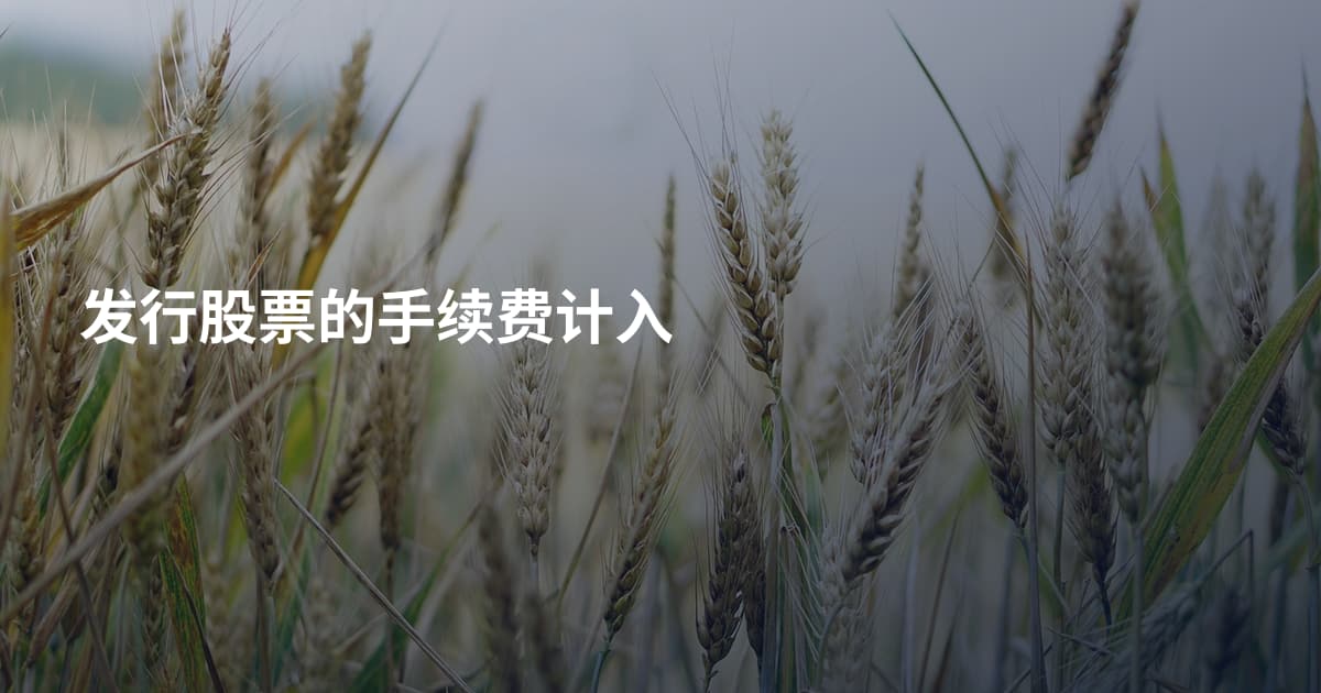 发行股票的手续费计入