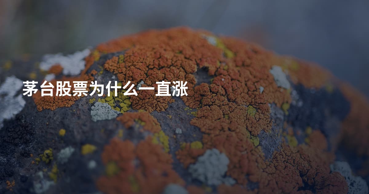 茅台股票为什么一直涨