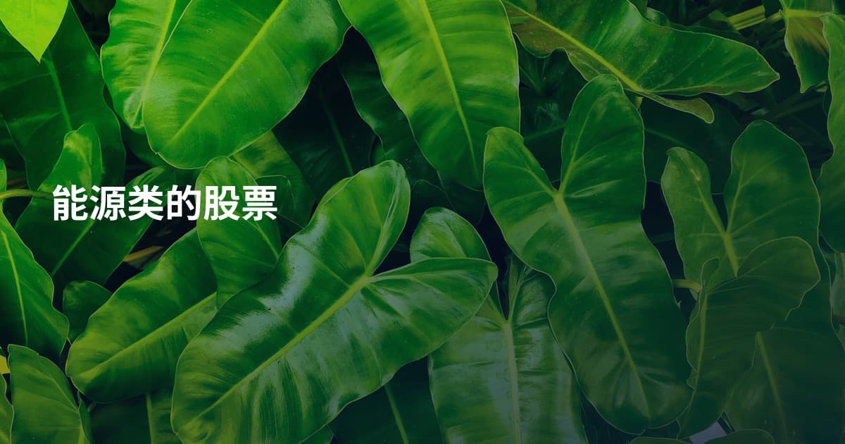 能源类的股票