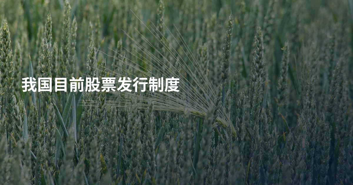 我国目前股票发行制度
