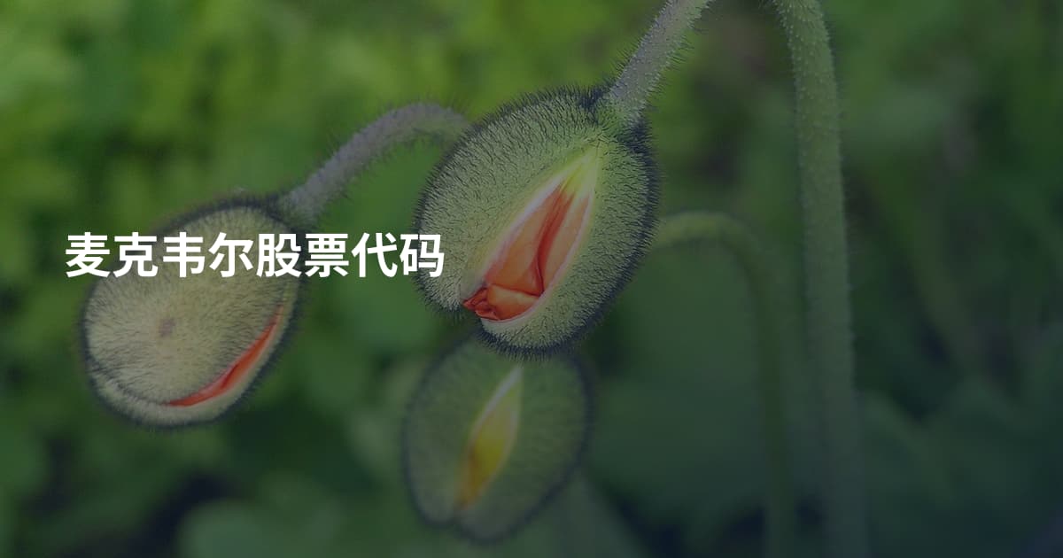 麦克韦尔股票代码