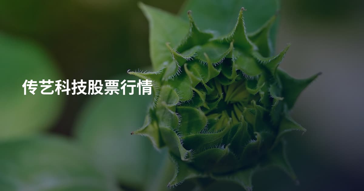 传艺科技股票行情