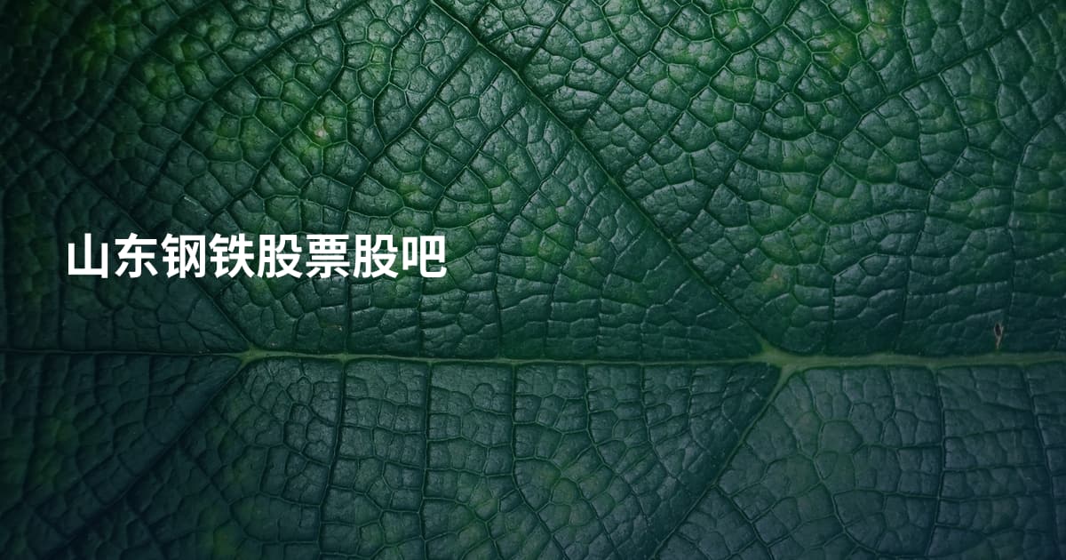 山东钢铁股票股吧