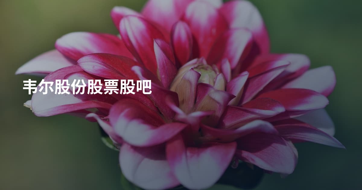 韦尔股份股票股吧