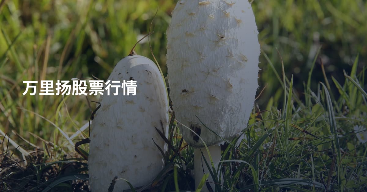 万里扬股票行情