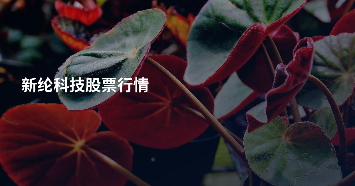 新纶科技股票行情