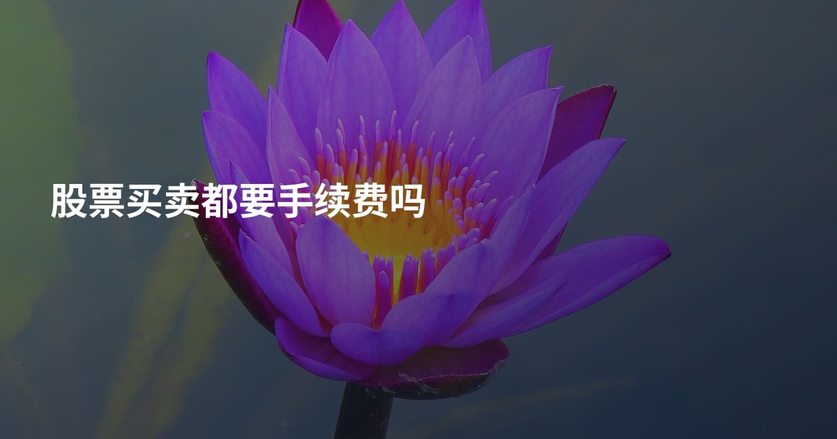 股票买卖都要手续费吗