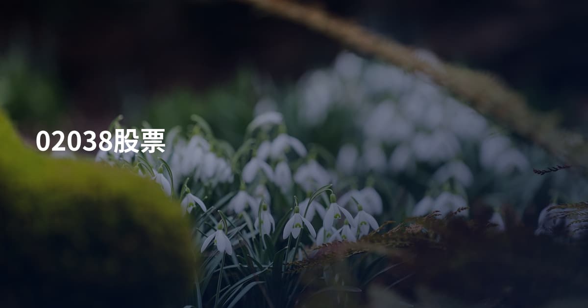 02038股票