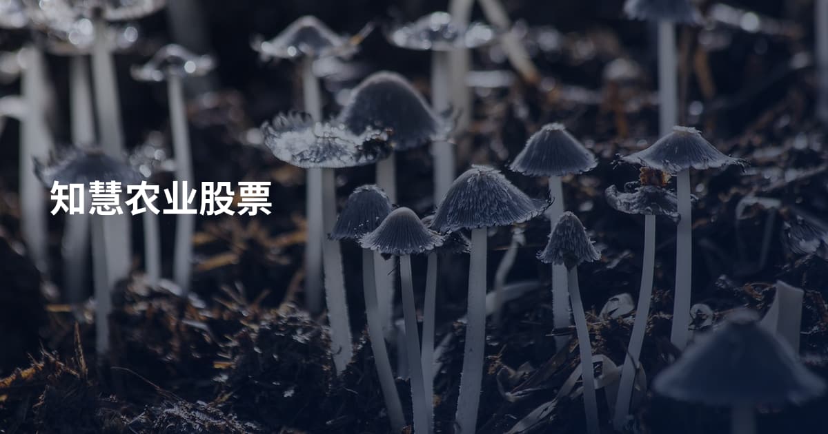 知慧农业股票