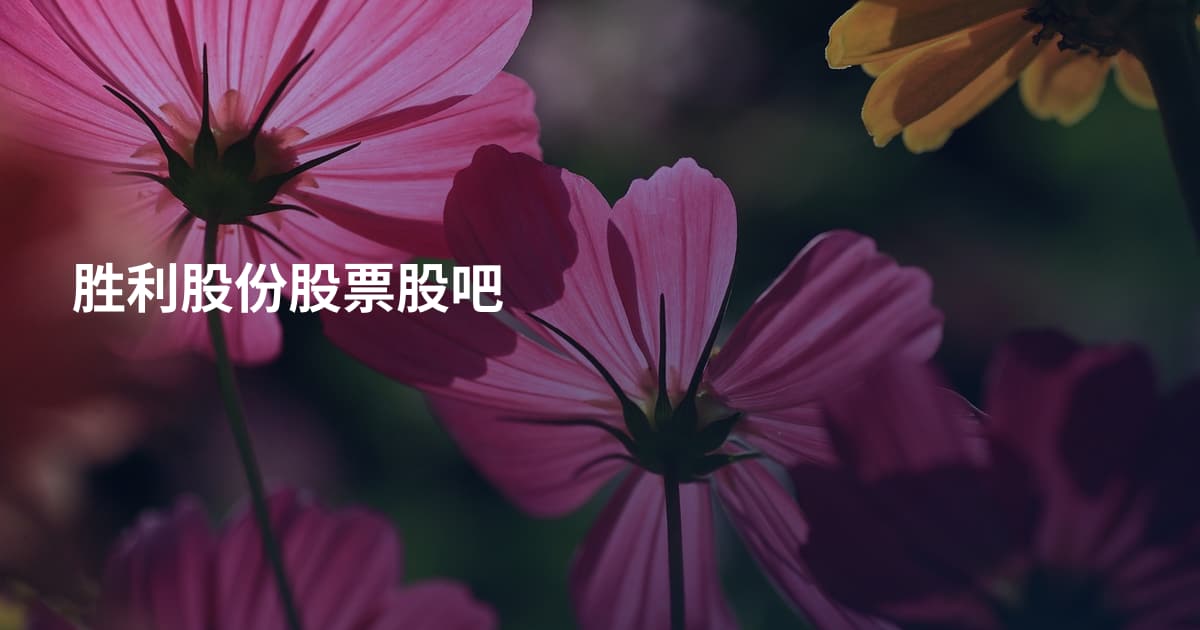 胜利股份股票股吧