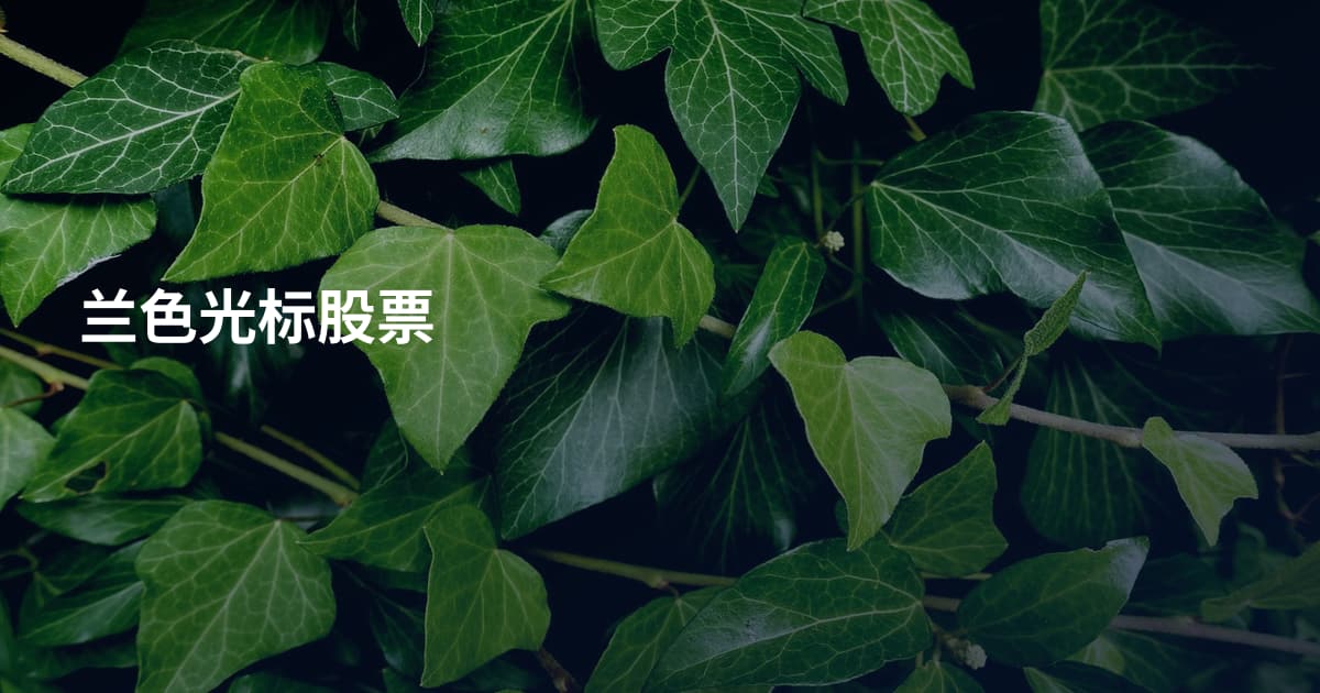 兰色光标股票