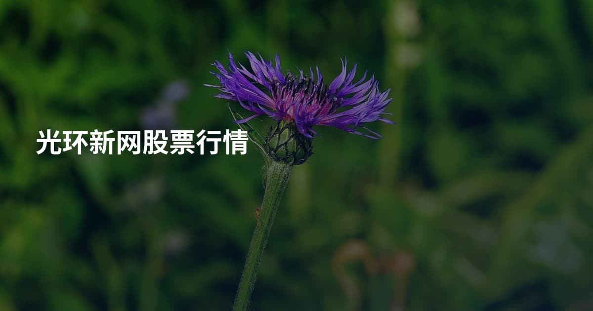 光环新网股票行情