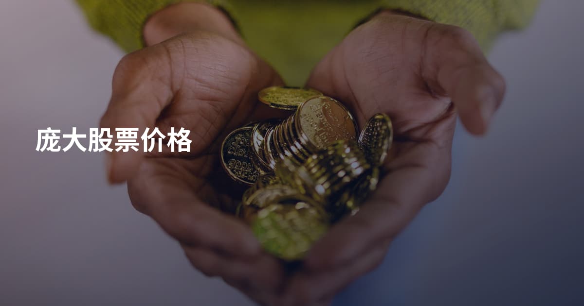 庞大股票价格