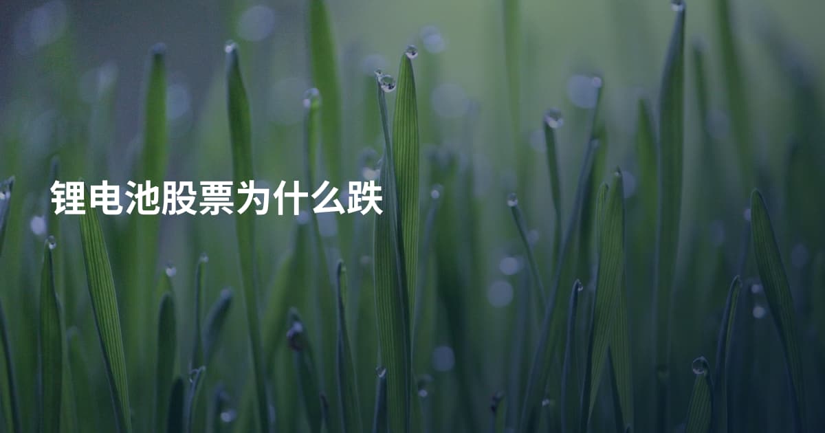 锂电池股票为什么跌