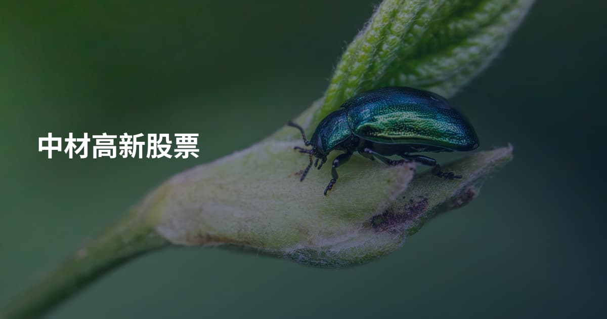 中材高新股票