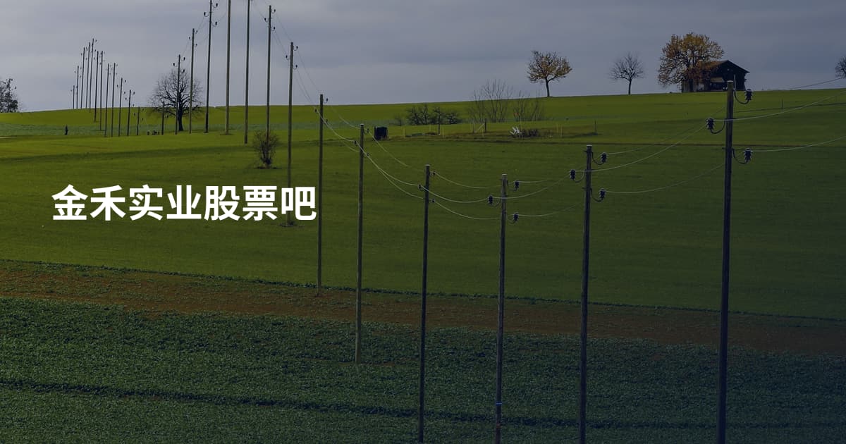 金禾实业股票吧