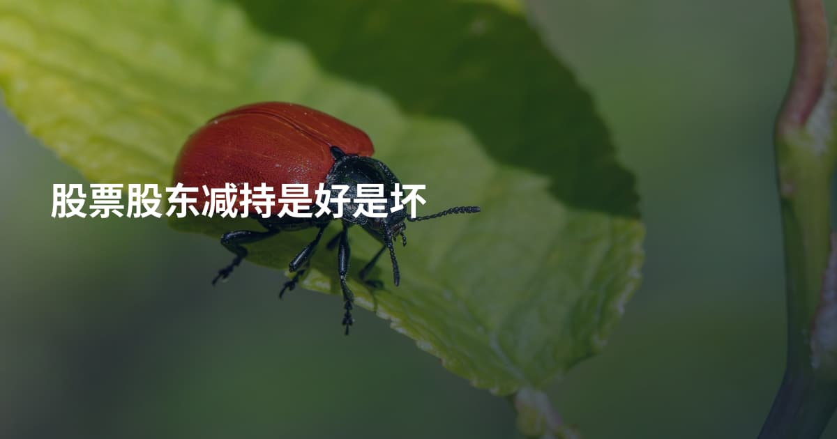 股票股东减持是好是坏