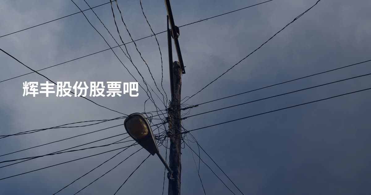 辉丰股份股票吧