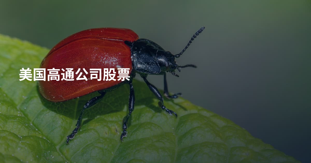 美国高通公司股票