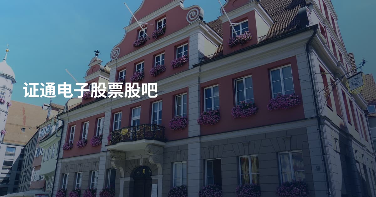 证通电子股票股吧
