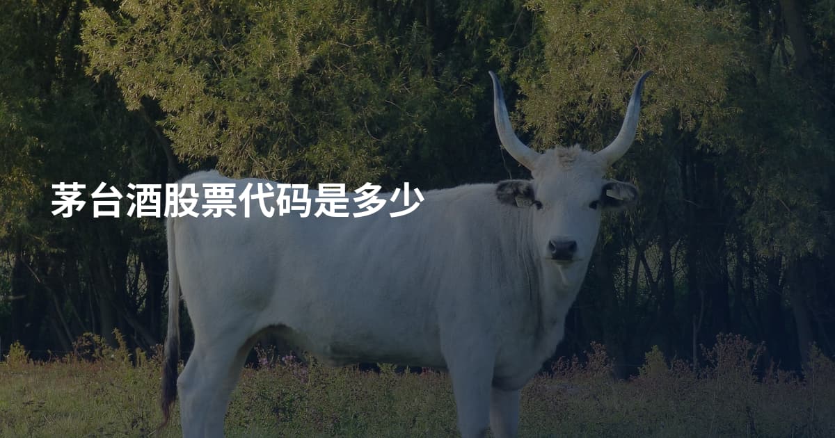 茅台酒股票代码是多少