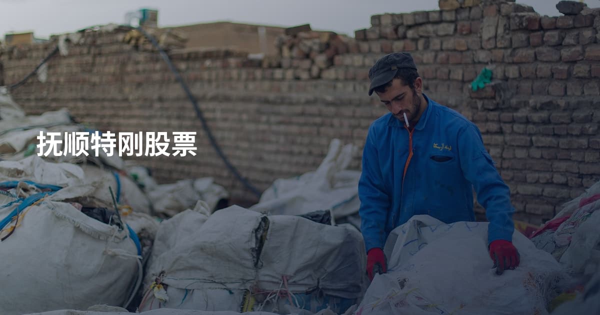 抚顺特刚股票