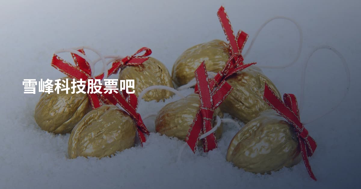 雪峰科技股票吧