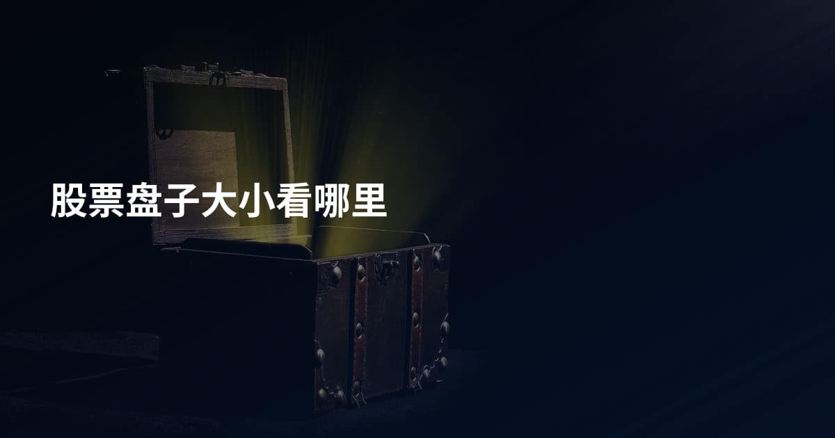 股票盘子大小看哪里