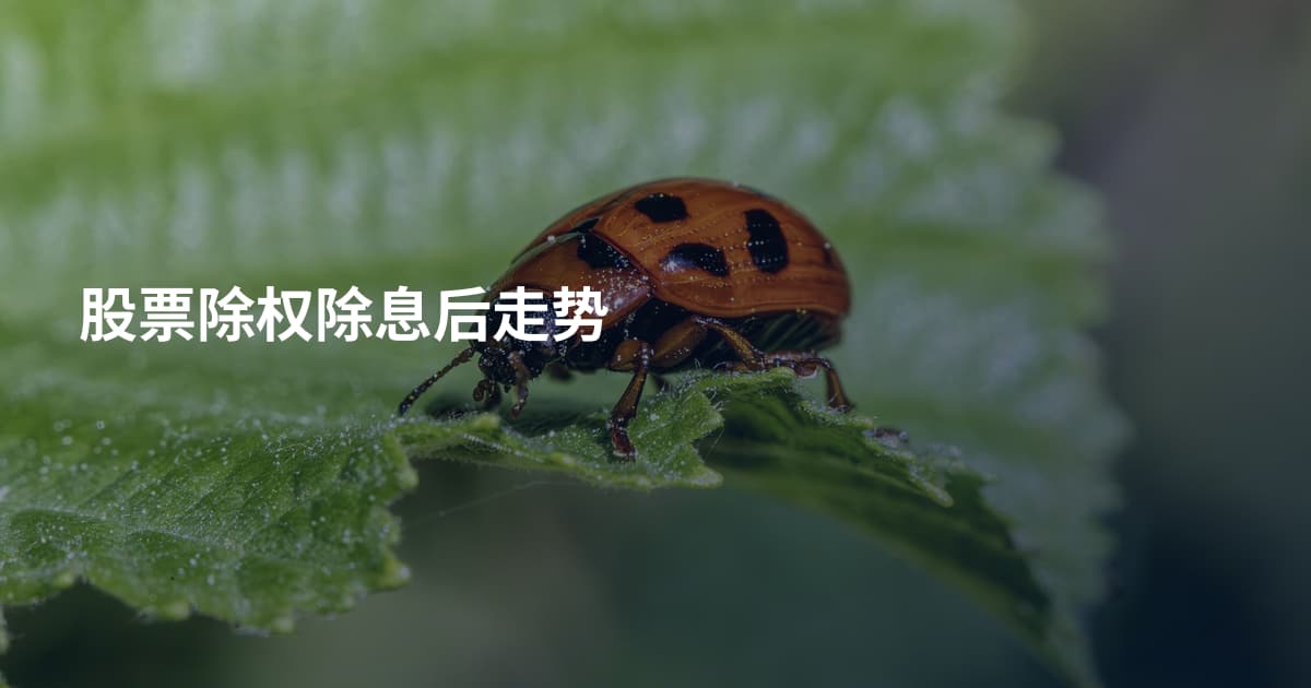 股票除权除息后走势