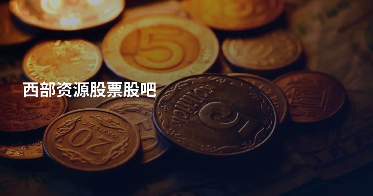 西部资源股票股吧