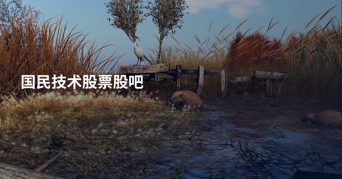 国民技术股票股吧