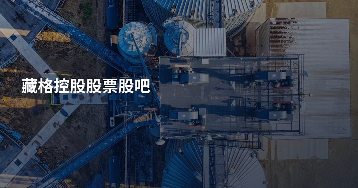 藏格控股股票股吧