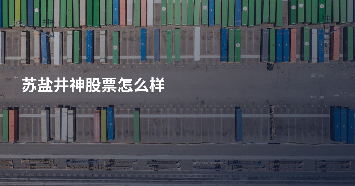 苏盐井神股票怎么样