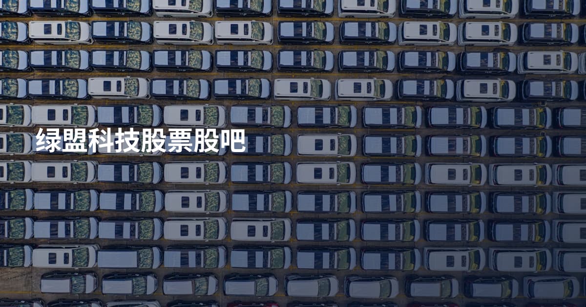 绿盟科技股票股吧