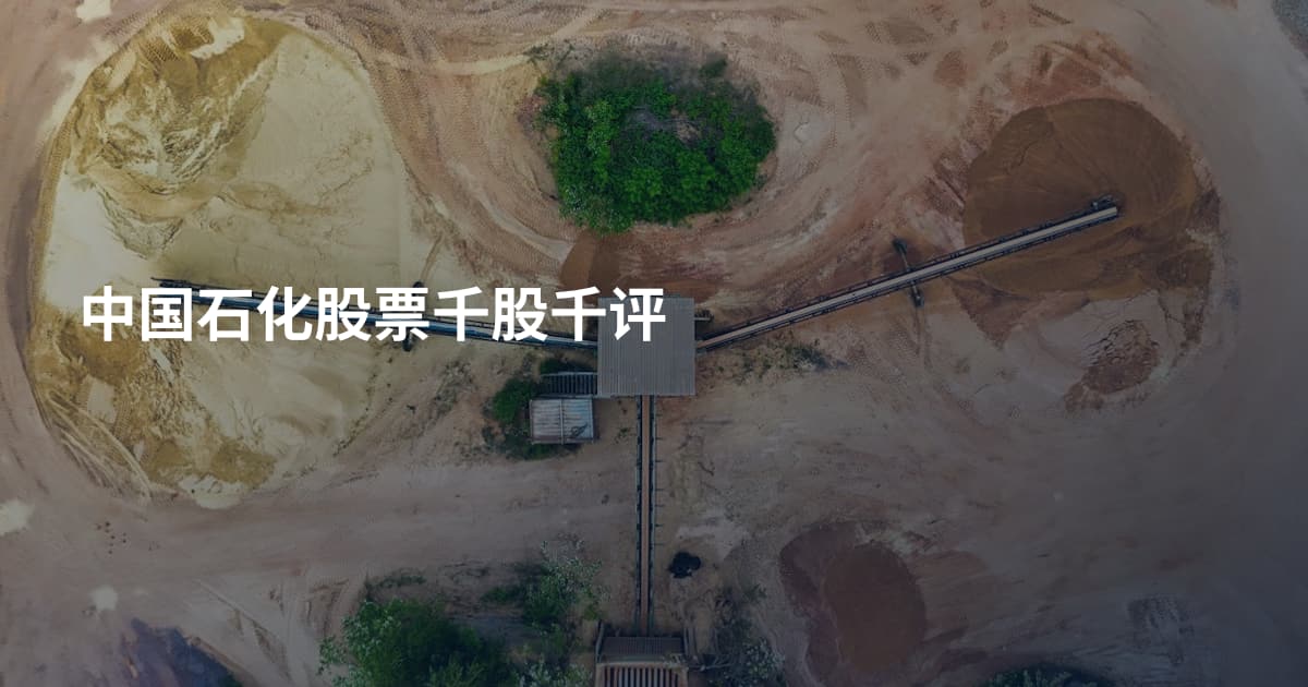 中国石化股票千股千评