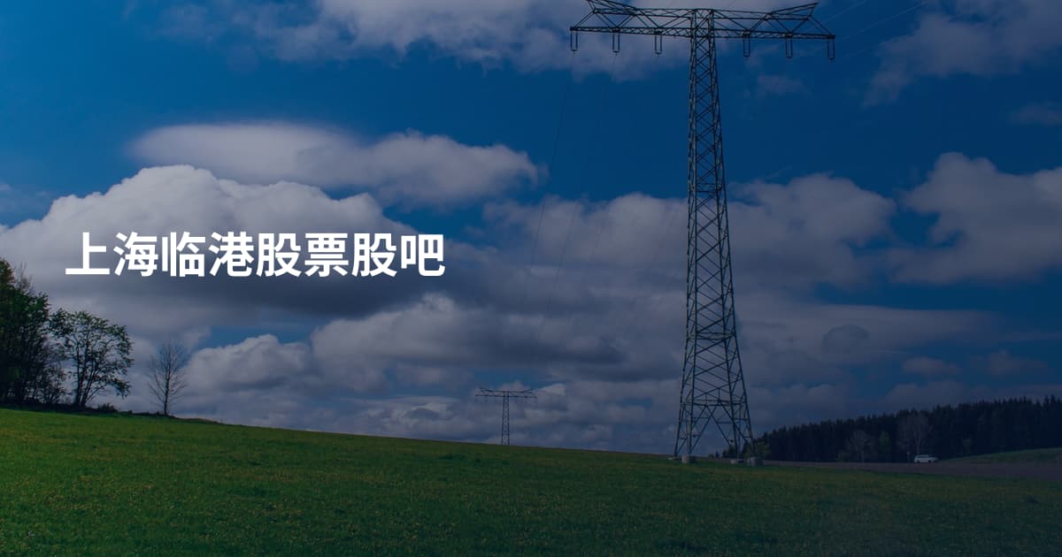 上海临港股票股吧