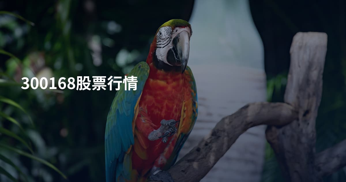 300168股票行情