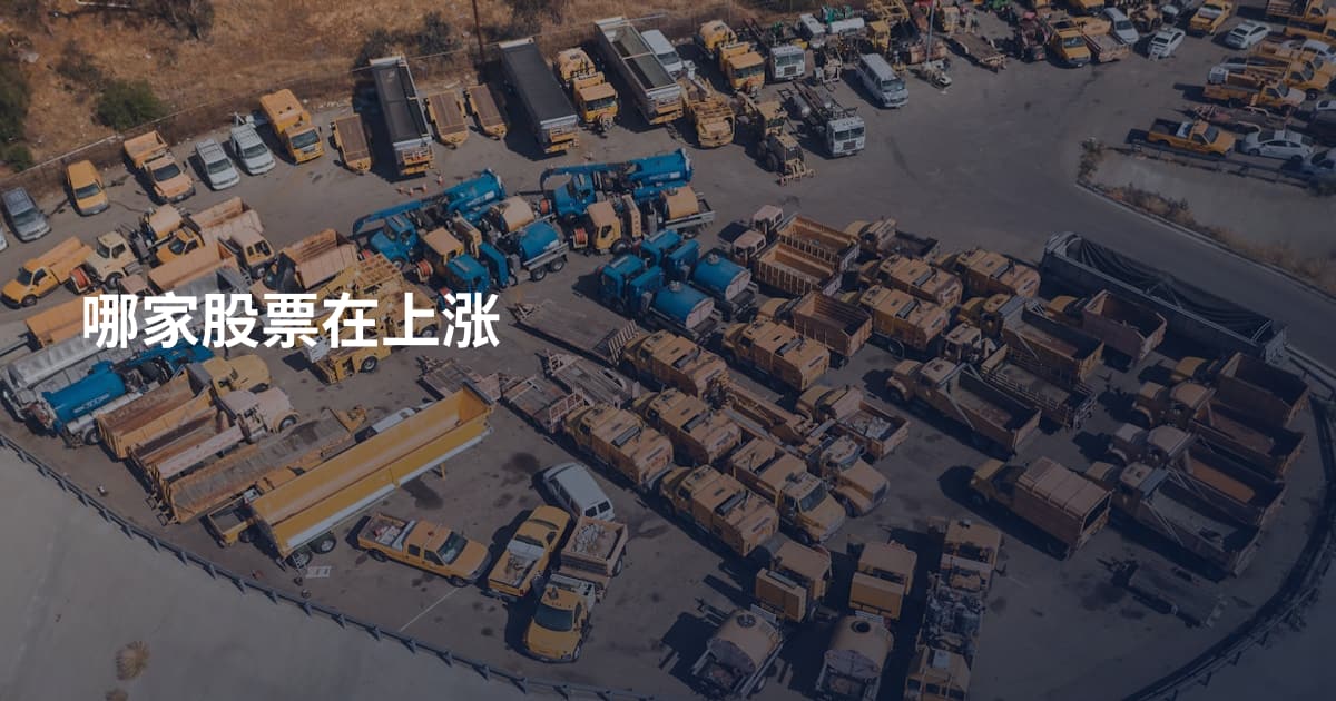 哪家股票在上涨