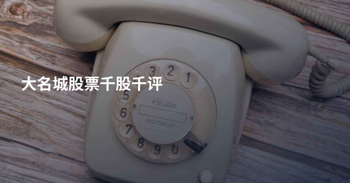 大名城股票千股千评
