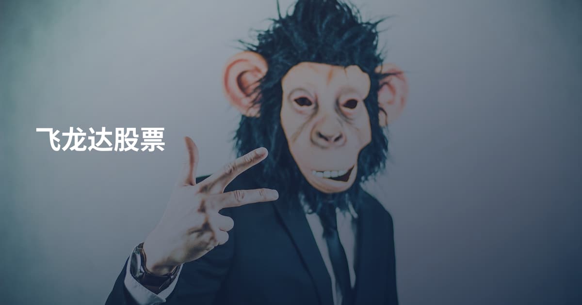 飞龙达股票