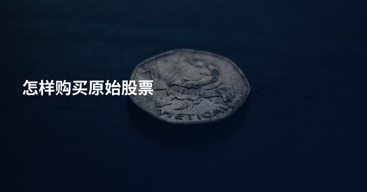 怎样购买原始股票