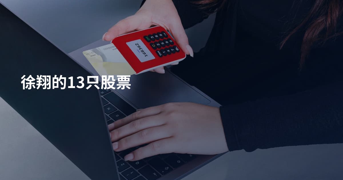 徐翔的13只股票