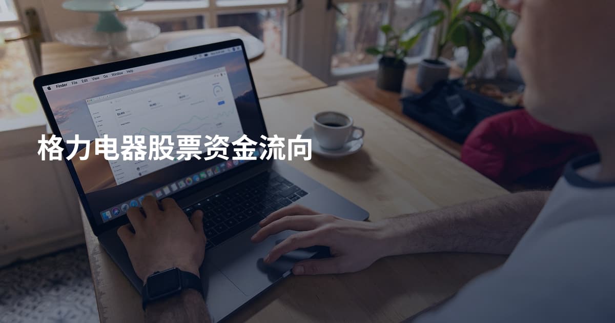 格力电器股票资金流向