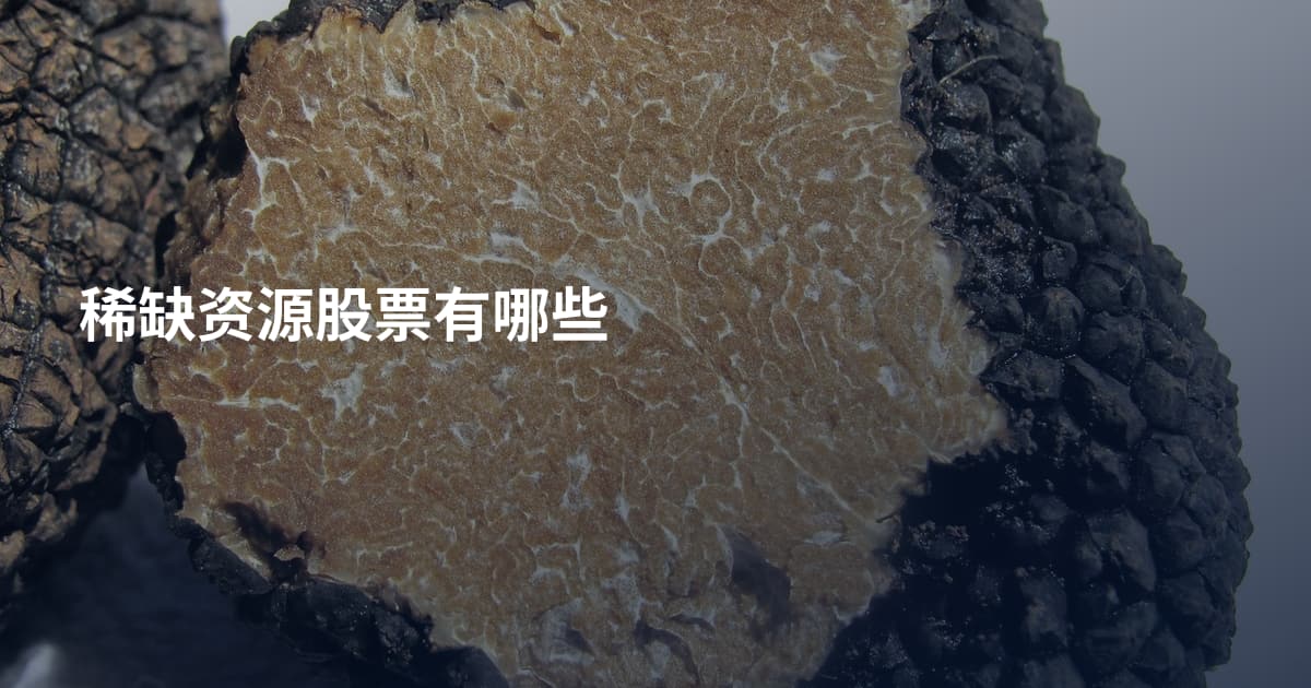 稀缺资源股票有哪些