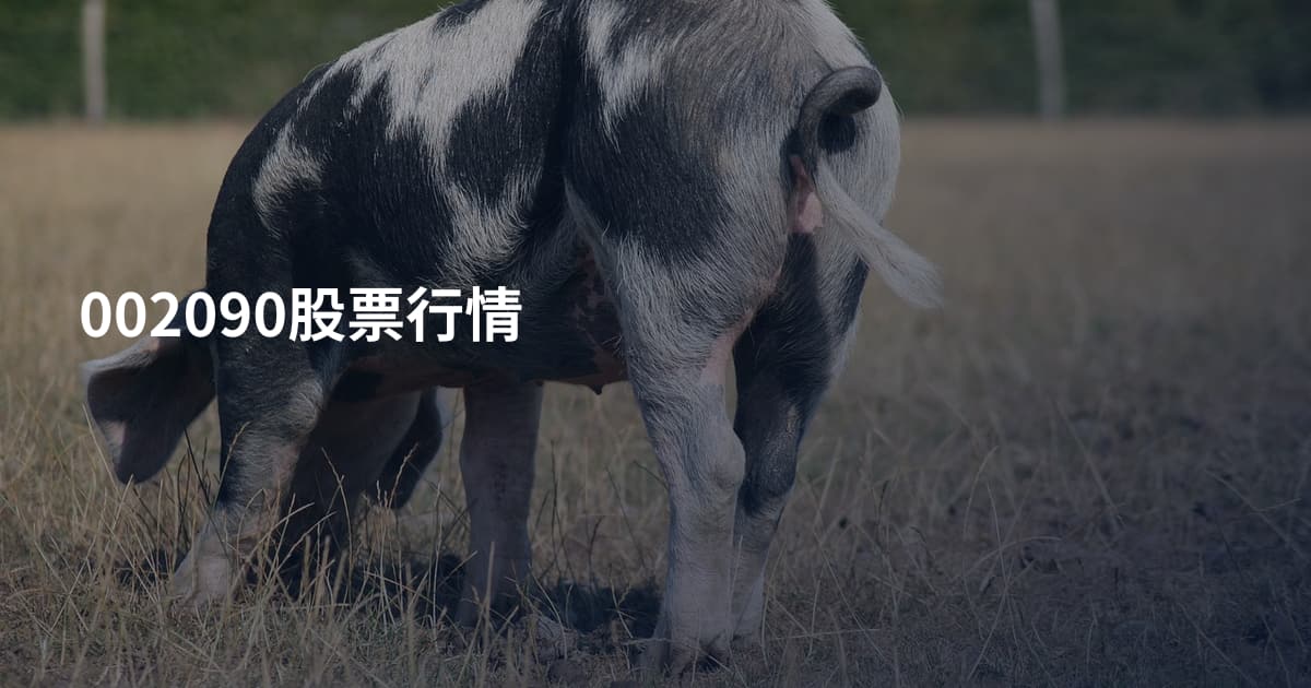 002090股票行情