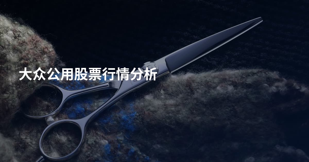 大众公用股票行情分析