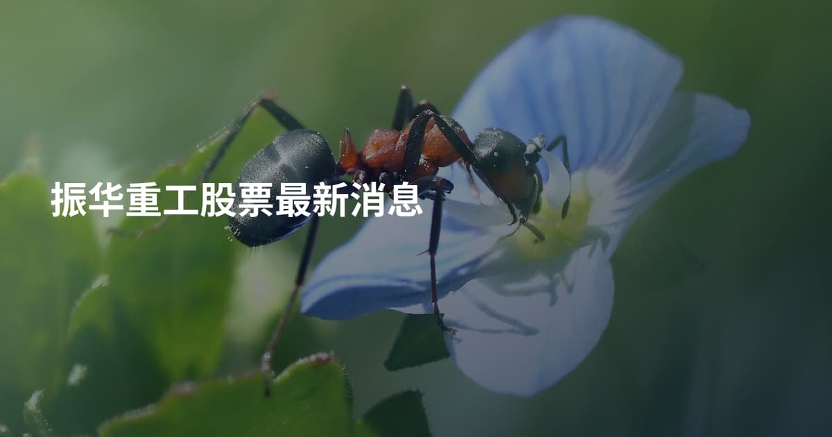 振华重工股票最新消息