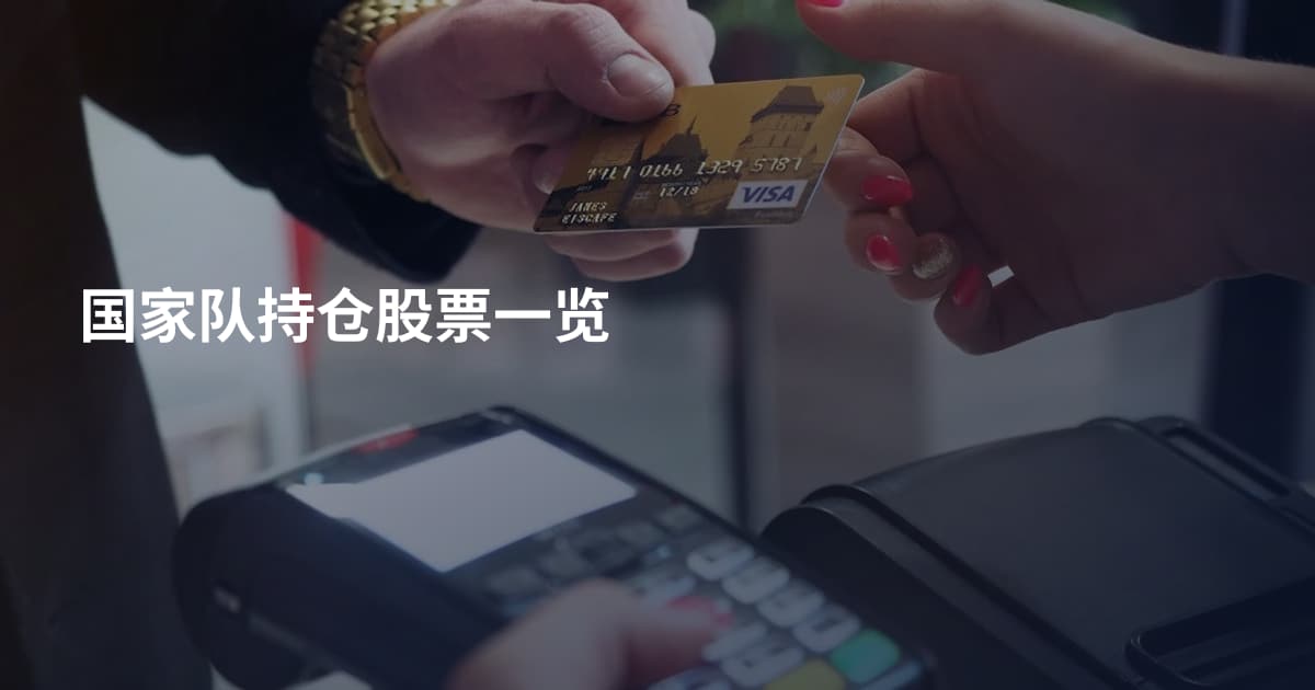 国家队持仓股票一览