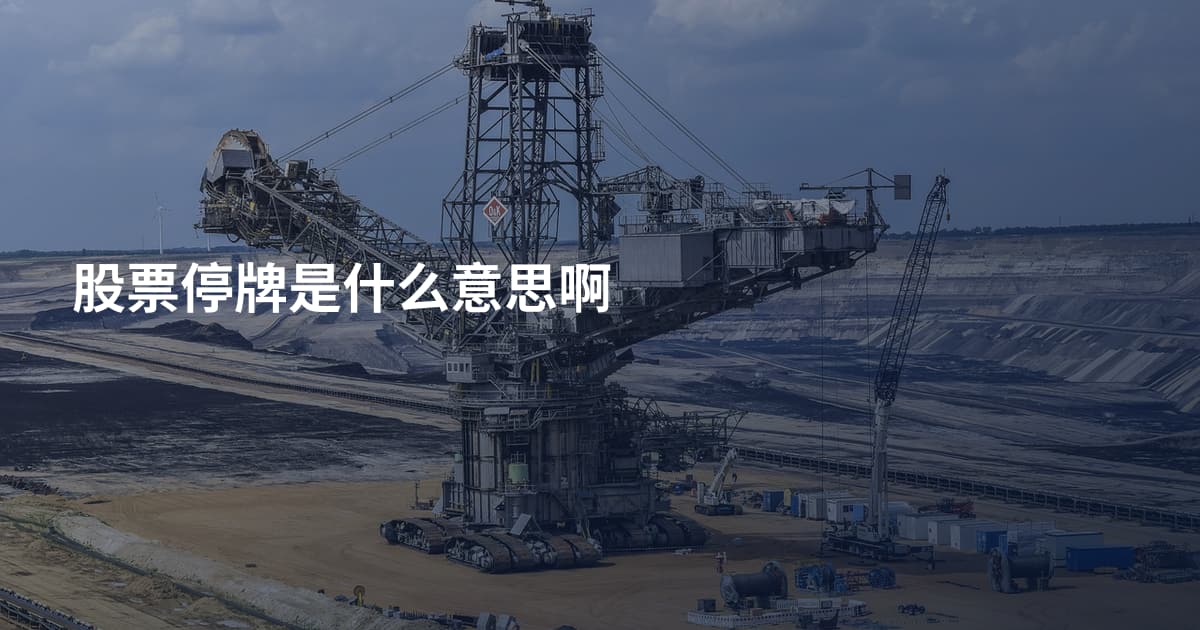 股票停牌是什么意思啊