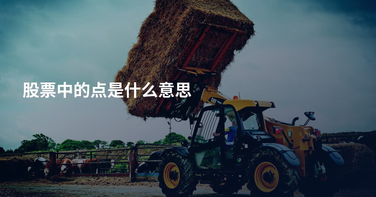 股票中的点是什么意思